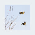同林鳥(艾米圖書) 同林鳥(艾米圖書)
