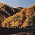 駝梁山景區 駝梁山景區