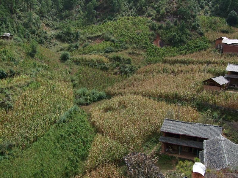 堆存米村 堆存米村