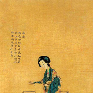 美人佐政