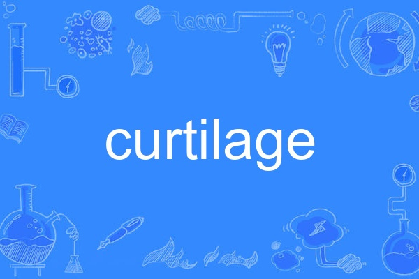 curtilage curtilage