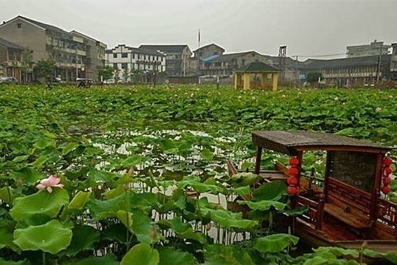 江橋村(浙江省溫州市瑞安市馬嶼鎮下轄村) 江橋村(浙江省溫州市瑞安市馬嶼鎮下轄村)