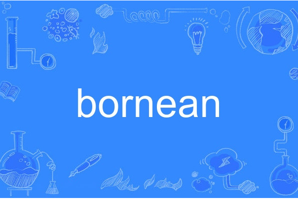 bornean bornean