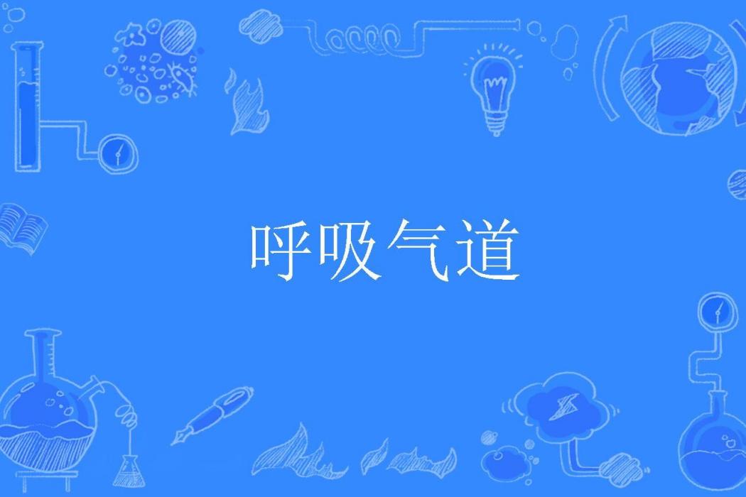 呼吸氣道 呼吸氣道
