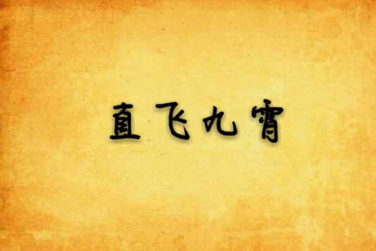 直飛九霄 直飛九霄