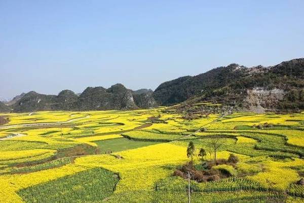 克呆村 克呆村