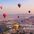 3·14土耳其熱氣球墜落事故