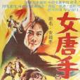 女拳手(王風執導的電影) 女拳手(王風執導的電影)