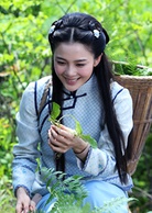 忍冬 忍冬