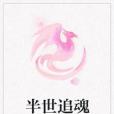 半世追魂