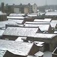 屋面雪壓 屋面雪壓
