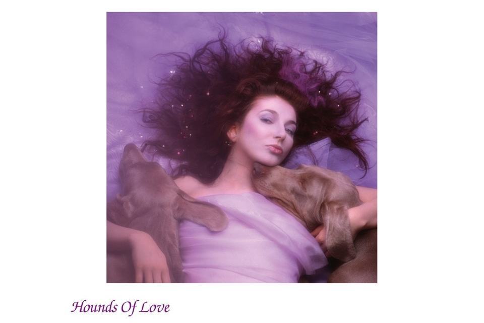 Hounds of Love(1985年凱特·布希演唱的歌曲) Hounds of Love(1985年凱特·布希演唱的歌曲)