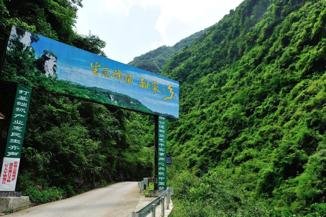 蜂桶鄉 蜂桶鄉