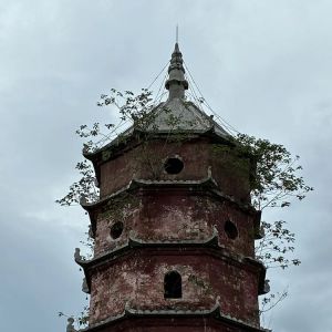 李清塔 李清塔