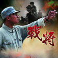 戰將(2014年30集電視劇) 戰將(2014年30集電視劇)