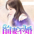 前妻不婚 前妻不婚
