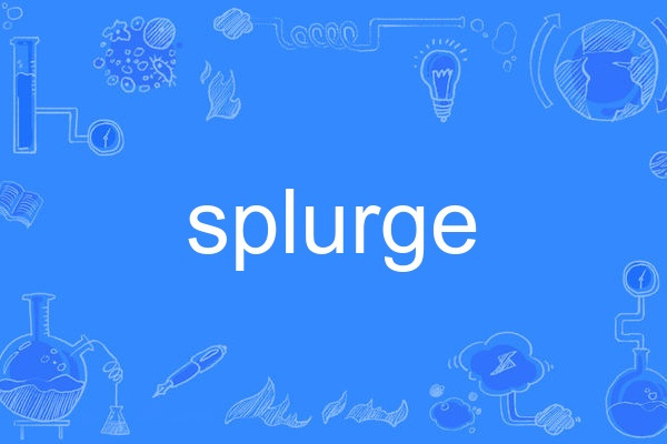 splurge splurge