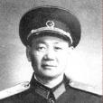 劉林(江蘇省軍區原副司令員、開國將軍)