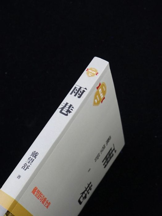 雨巷(2021年四川文藝出版社出版的圖書) 雨巷(2021年四川文藝出版社出版的圖書)