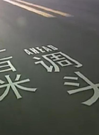 王翊丹