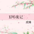 X網魂記 X網魂記