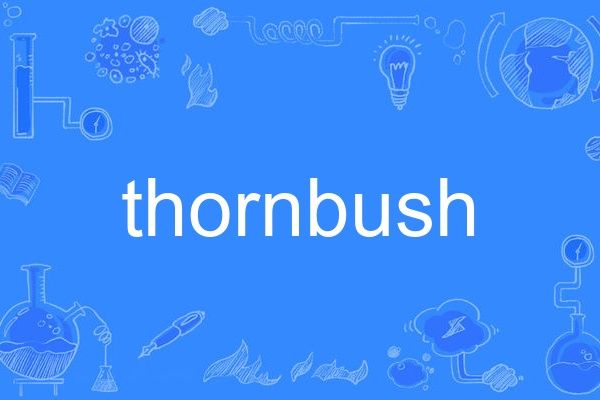 thornbush thornbush