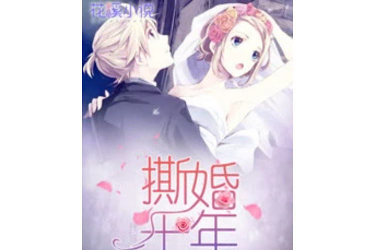 撕婚十年 撕婚十年