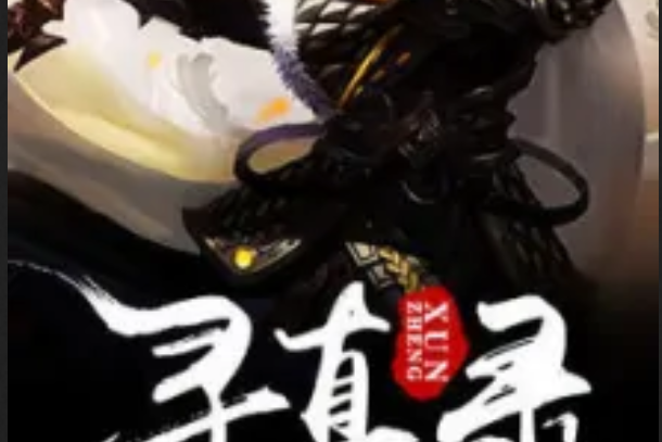 尋真錄