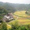 平富村(廣東省韶關樂昌市廊田鎮下轄村) 平富村(廣東省韶關樂昌市廊田鎮下轄村)