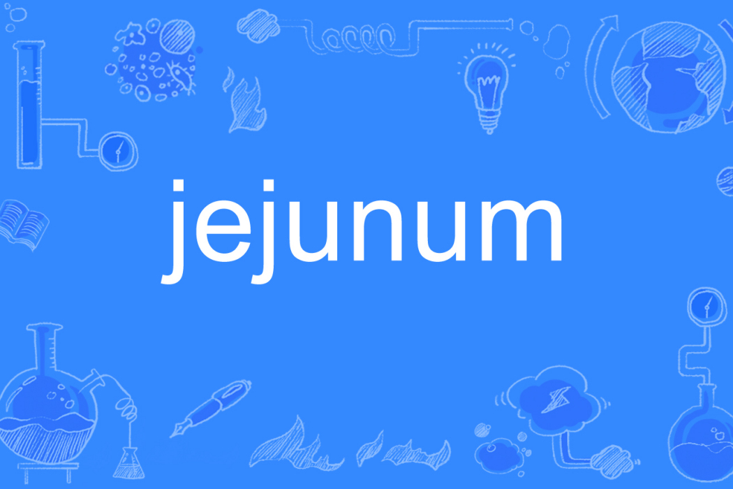 jejunum