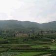 大火頭村 大火頭村