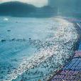 韓國海雲台 韓國海雲台