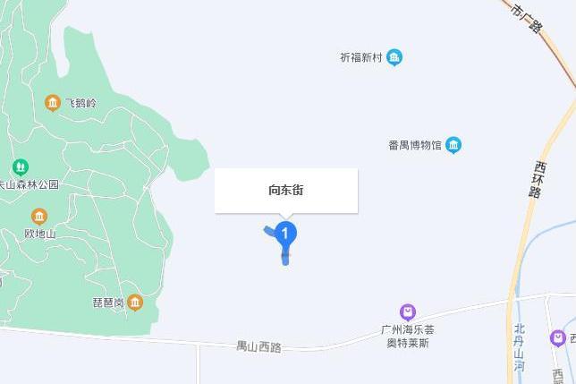 向東街(廣州市向東街) 向東街(廣州市向東街)