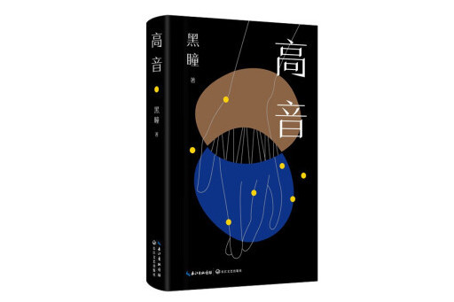 高音(2024年長江文藝出版社出版的圖書) 高音(2024年長江文藝出版社出版的圖書)