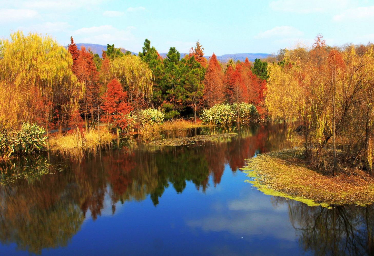 燕雀湖(前湖（南京前湖）)