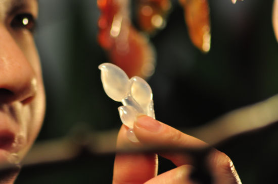 故宮文化珠寶展現場展示的“玉蘭花” 系列