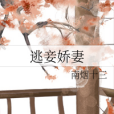 逃妾嬌妻 逃妾嬌妻