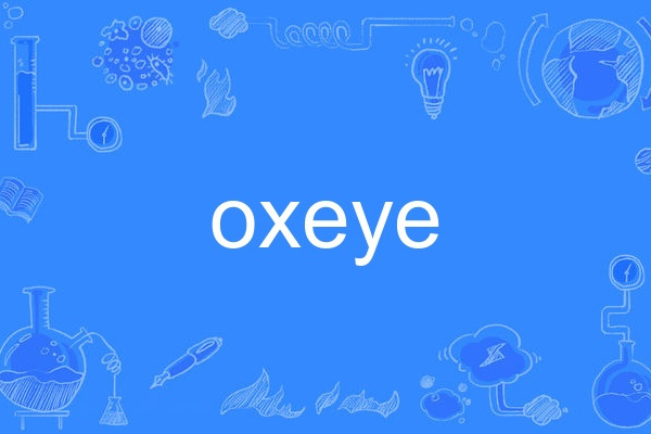 oxeye oxeye