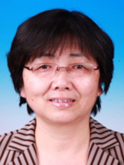 沈青(北京市統計局總統計師、二級巡視員) 沈青(北京市統計局總統計師、二級巡視員)