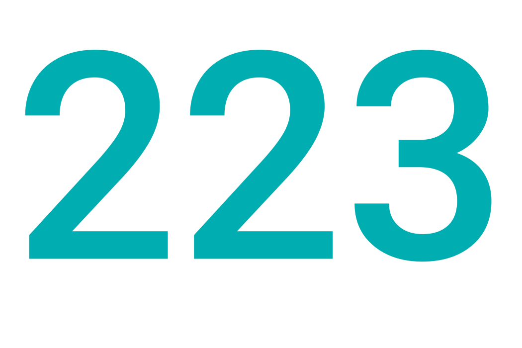 223 223