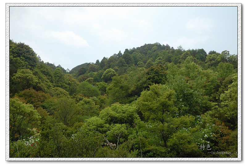 韓山森林公園