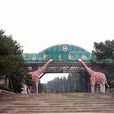 濟南野生動物園