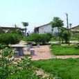 孫家灣村(雲南省楚雄市蒼嶺鎮孫家灣村) 孫家灣村(雲南省楚雄市蒼嶺鎮孫家灣村)