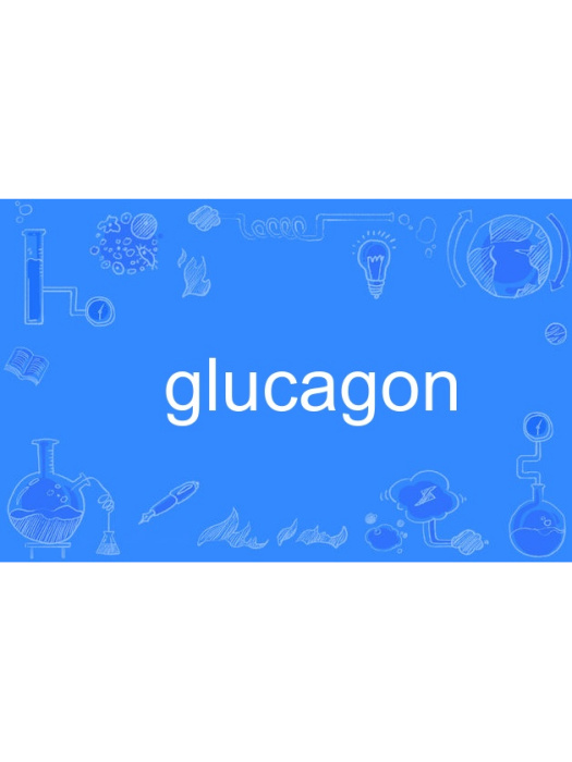 glucagon