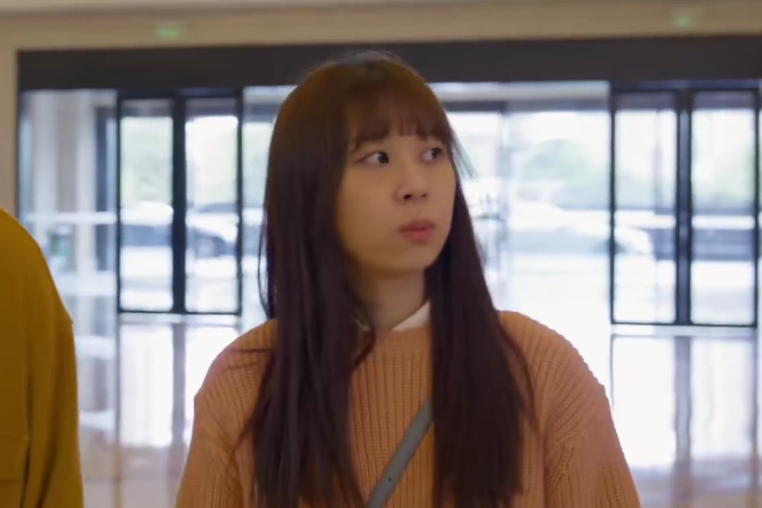 朱婷婷(都市勵志劇《歡樂頌3》《歡樂頌4》中的女配角) 朱婷婷(都市勵志劇《歡樂頌3》《歡樂頌4》中的女配角)