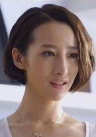 頭號前妻(2015年劉家成執導電視劇)