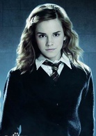 哈利·波特(華納兄弟出品的系列改編電影)