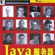 Java伺服器高級編程 Java伺服器高級編程