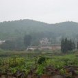 坡腳下村(雲南彝良縣龍海鄉下轄村) 坡腳下村(雲南彝良縣龍海鄉下轄村)