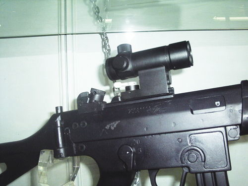 樣槍上還裝了光學瞄準具。